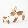 Ostheimer Reindeer with young